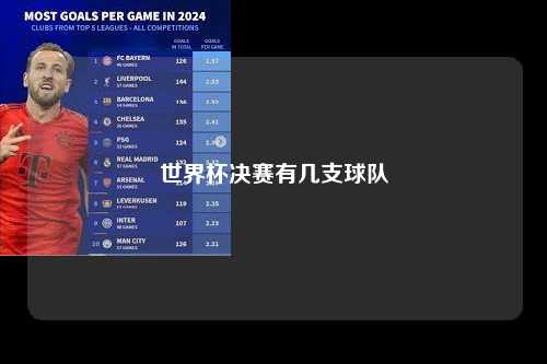世界杯决赛有几支球队