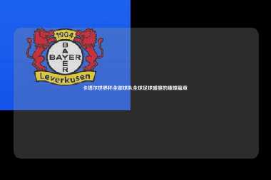 卡塔尔世界杯全部球队全球足球盛宴的璀璨篇章