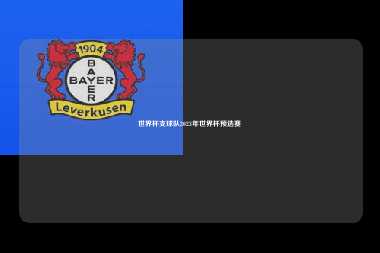 世界杯支球队2023年世界杯预选赛