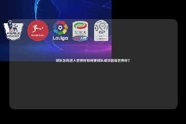 球队怎样进入世界杯如何使球队成功晋级世界杯？